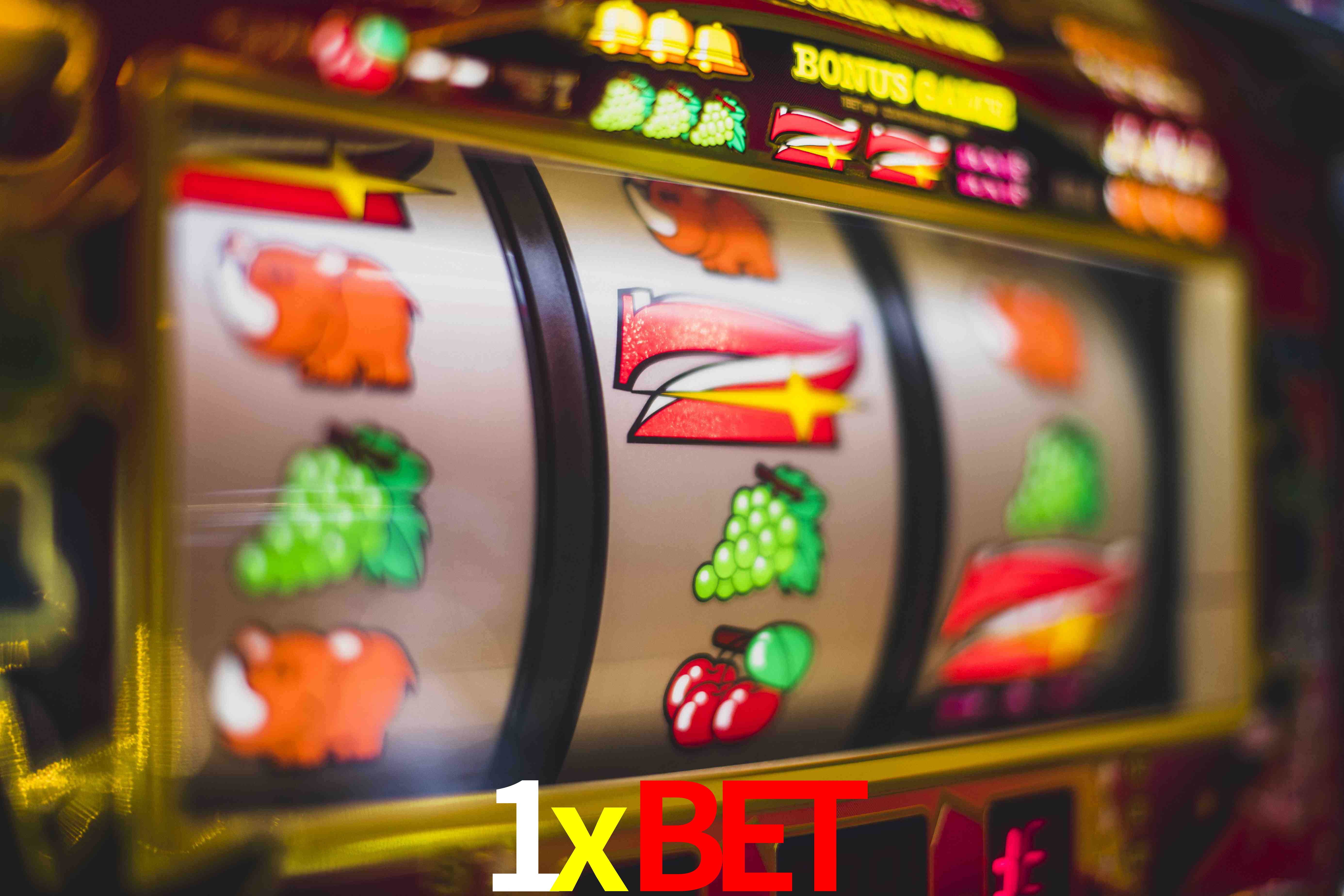 Experiência VIP 1xbet
